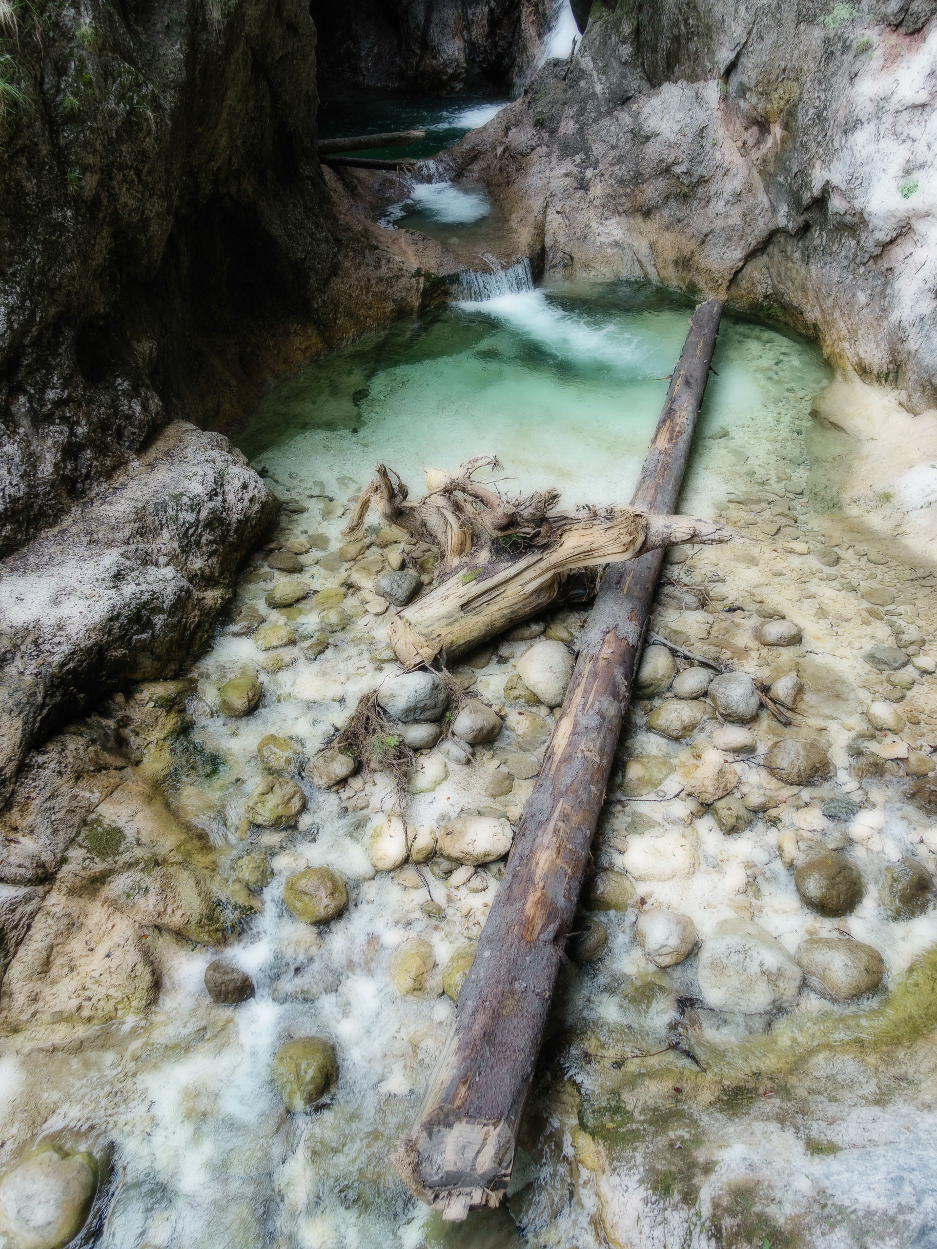 Treibholz