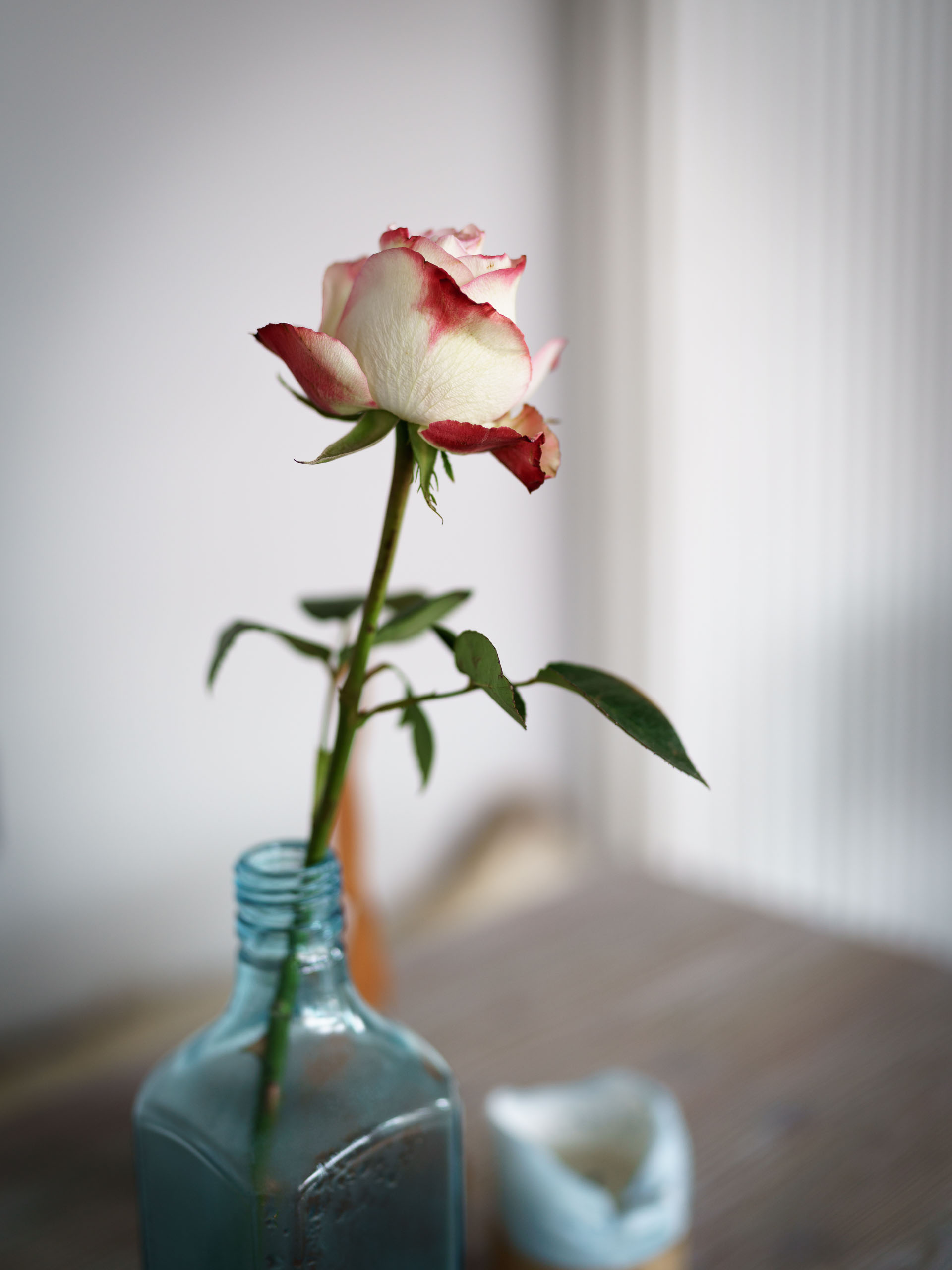 Blumendeko