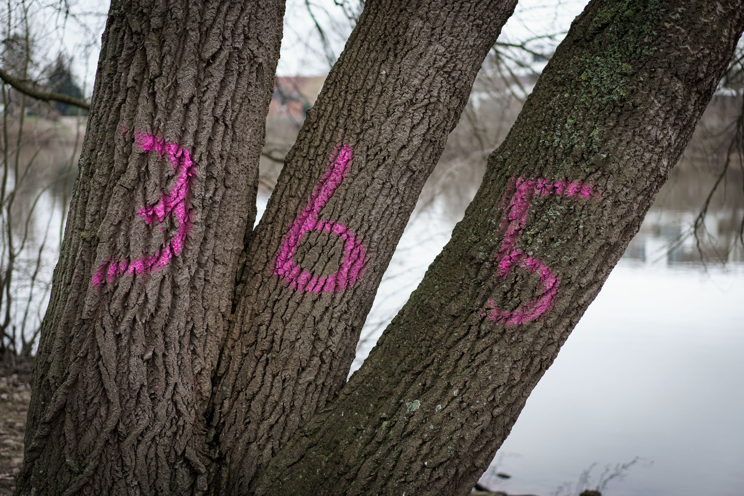 24.02.2023 - 365 Tage Krieg in der Ukraine