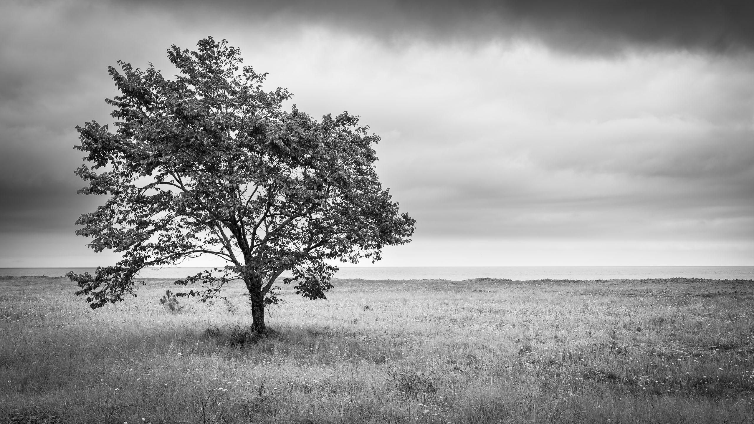 An der Ostsee