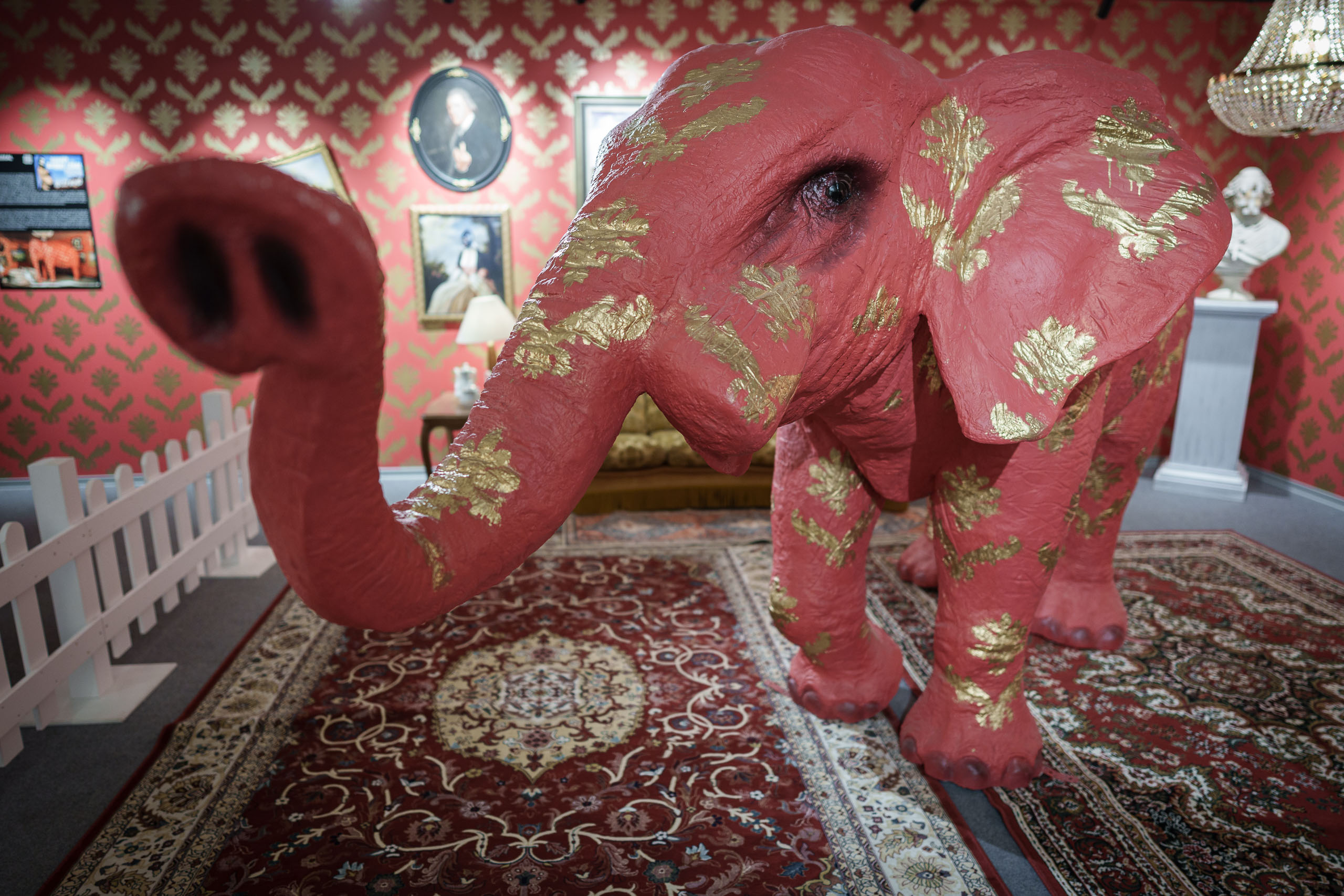 The Elephant in the Room