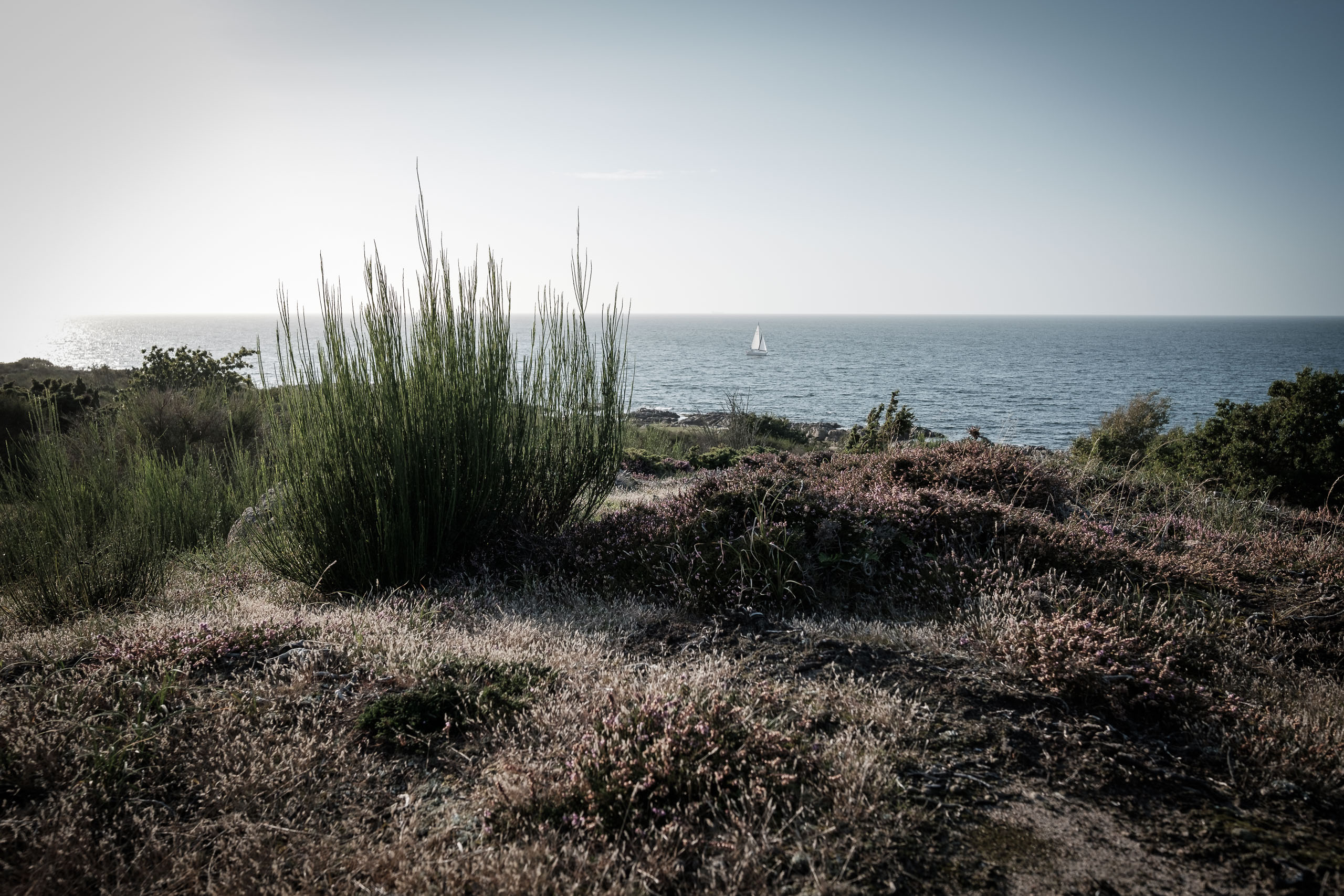 Ostseeblick von Hammerknudden