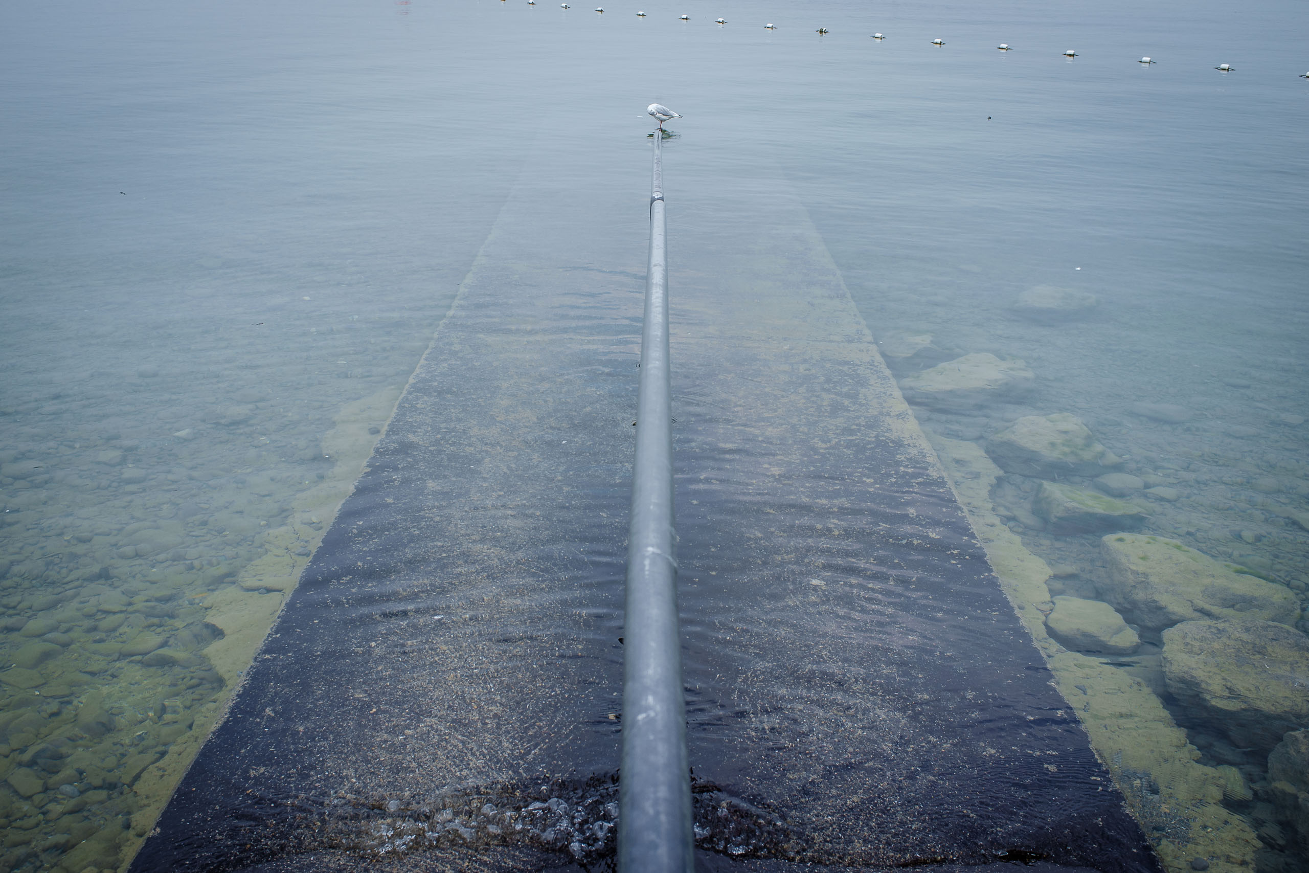 Badestelle am Bodensee.