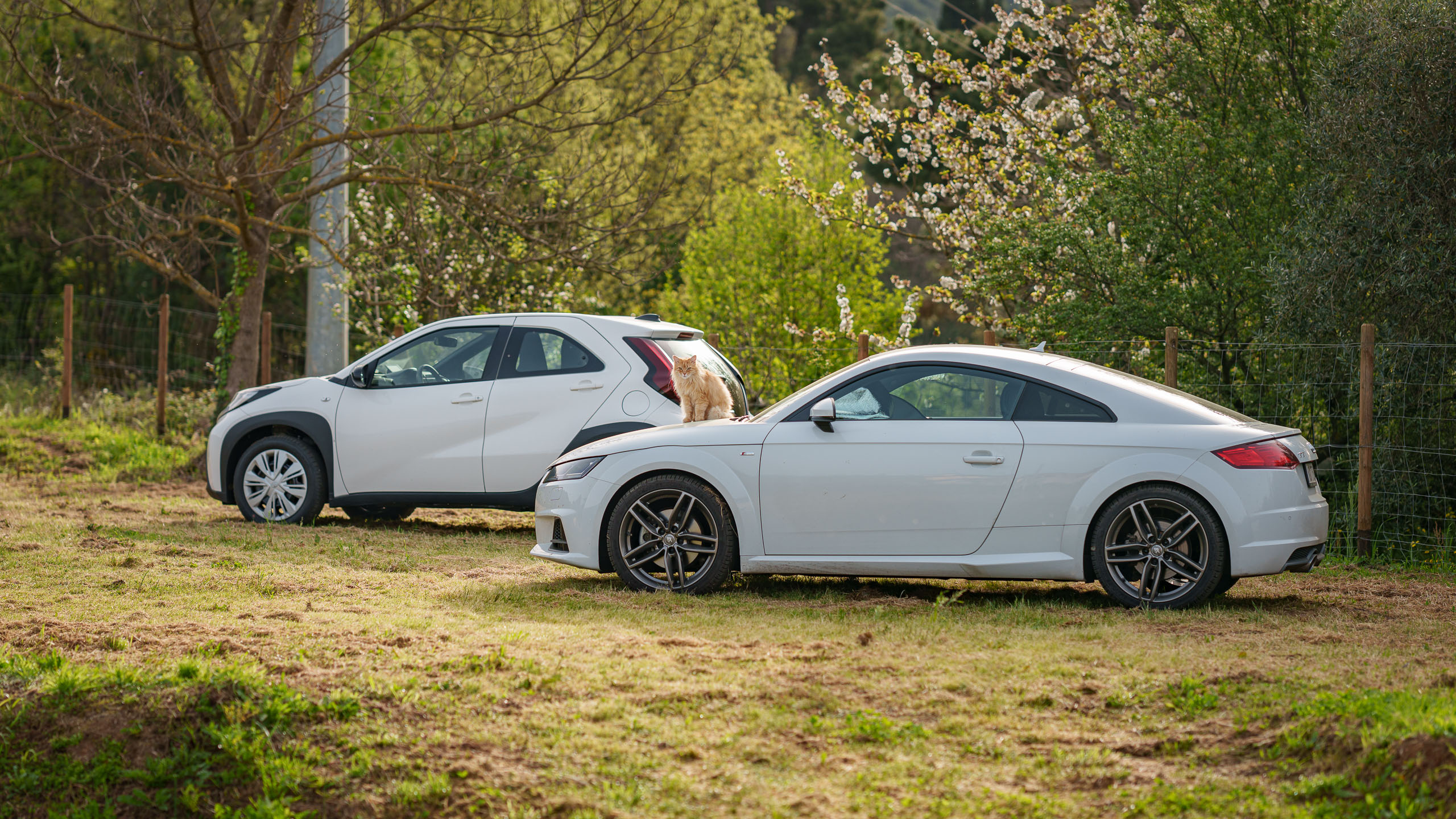 Erfolgreich erobert...