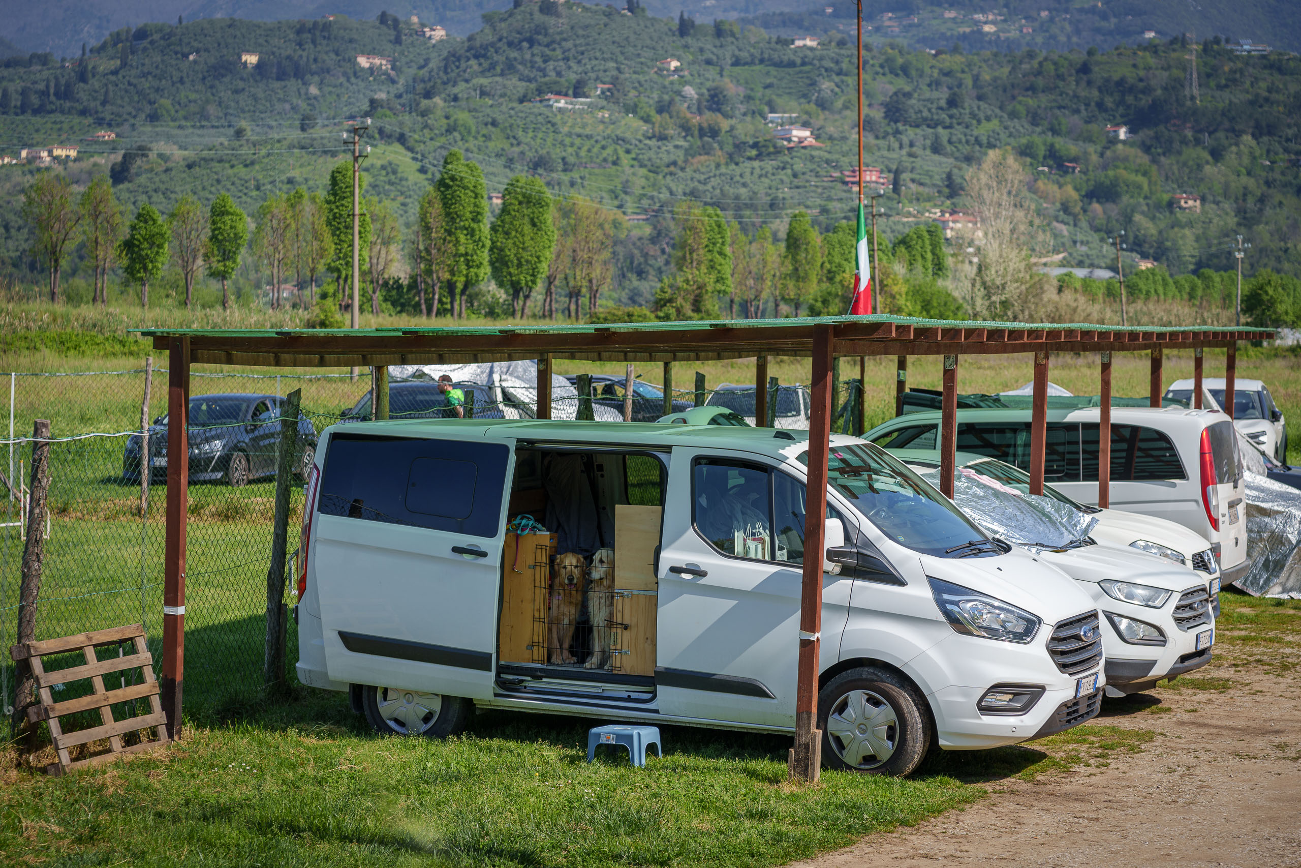 Warten auf den Einsatz auf dem Hundesportplatz.