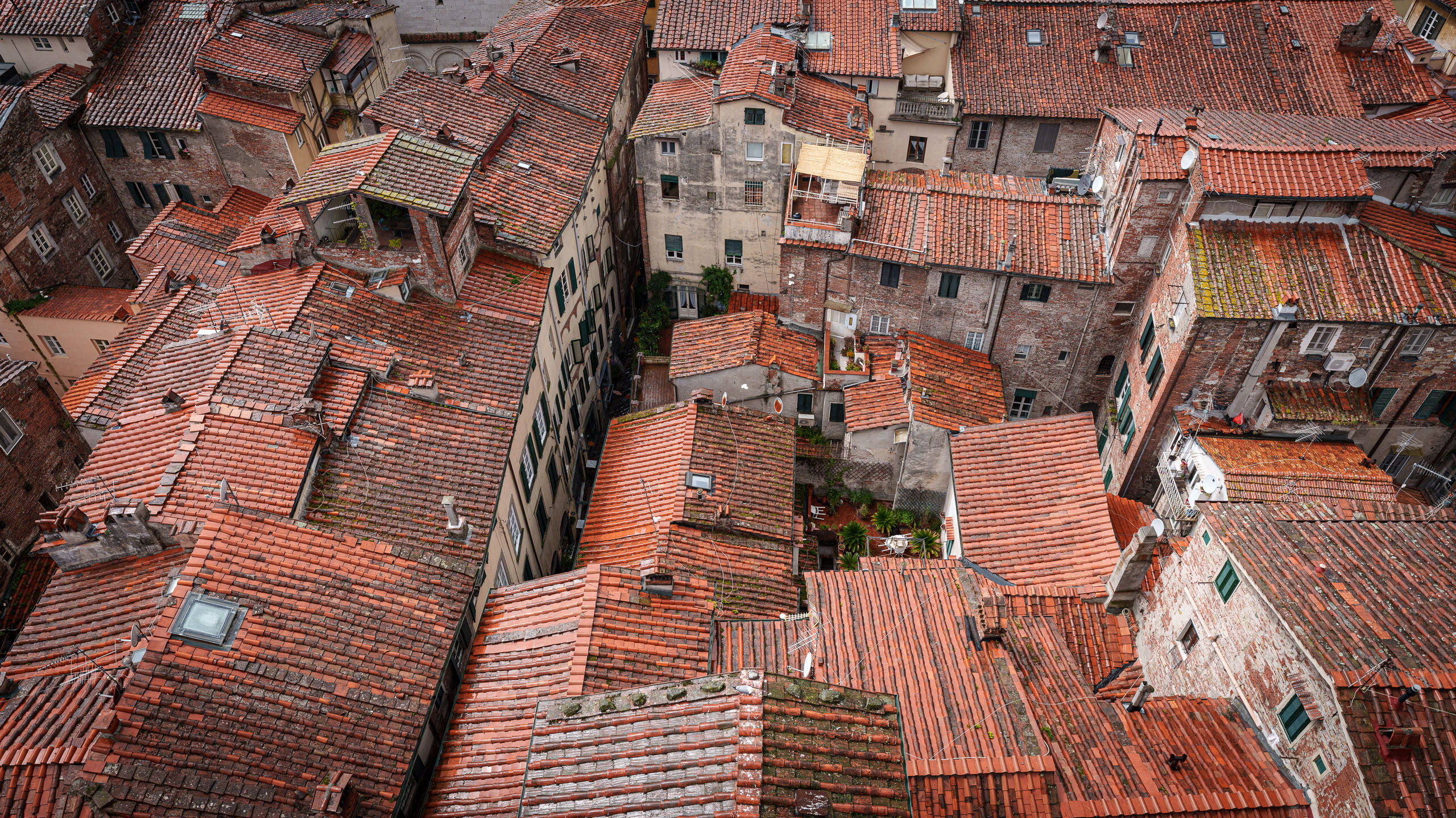 Dächerwirrwarr in Lucca.