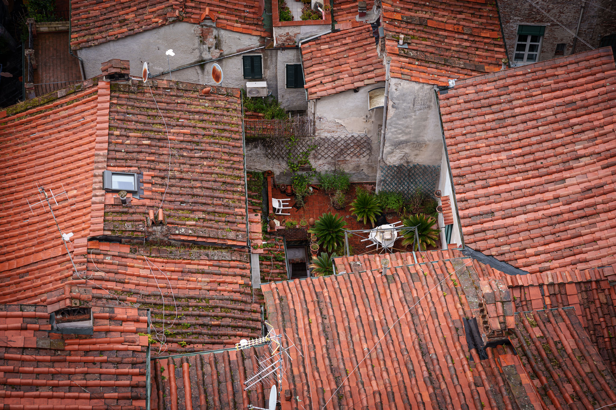 Kleiner Dachgarten in Lucca.