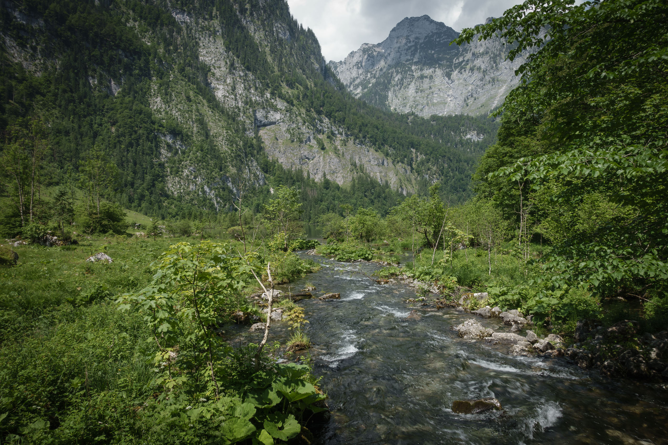 Mittwoch, 08.06.2016