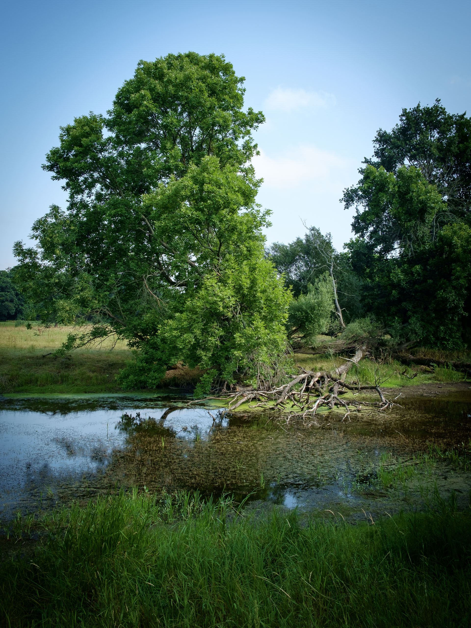 Donnerstag, 10.07.2014
