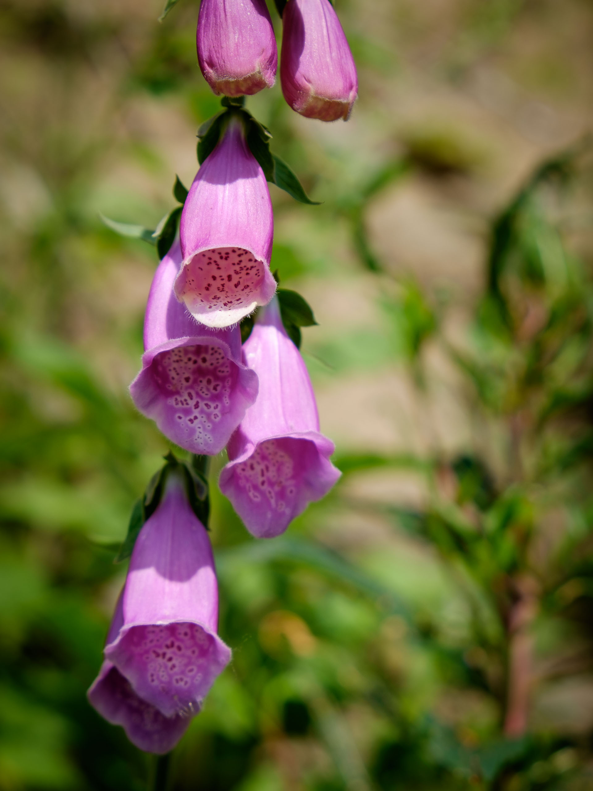 Dienstag, 16.06.2015