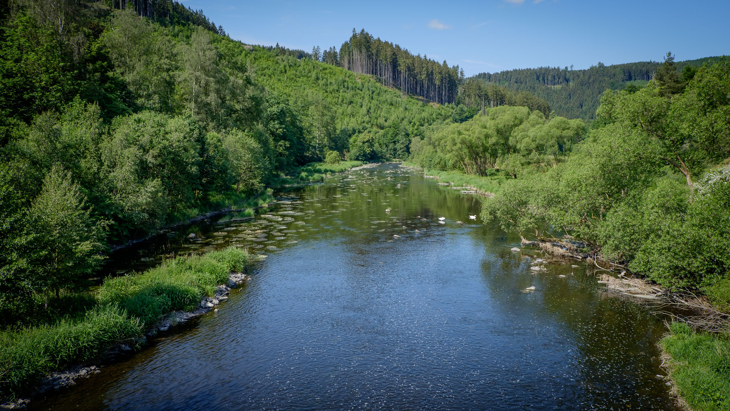 Dienstag, 16.06.2015