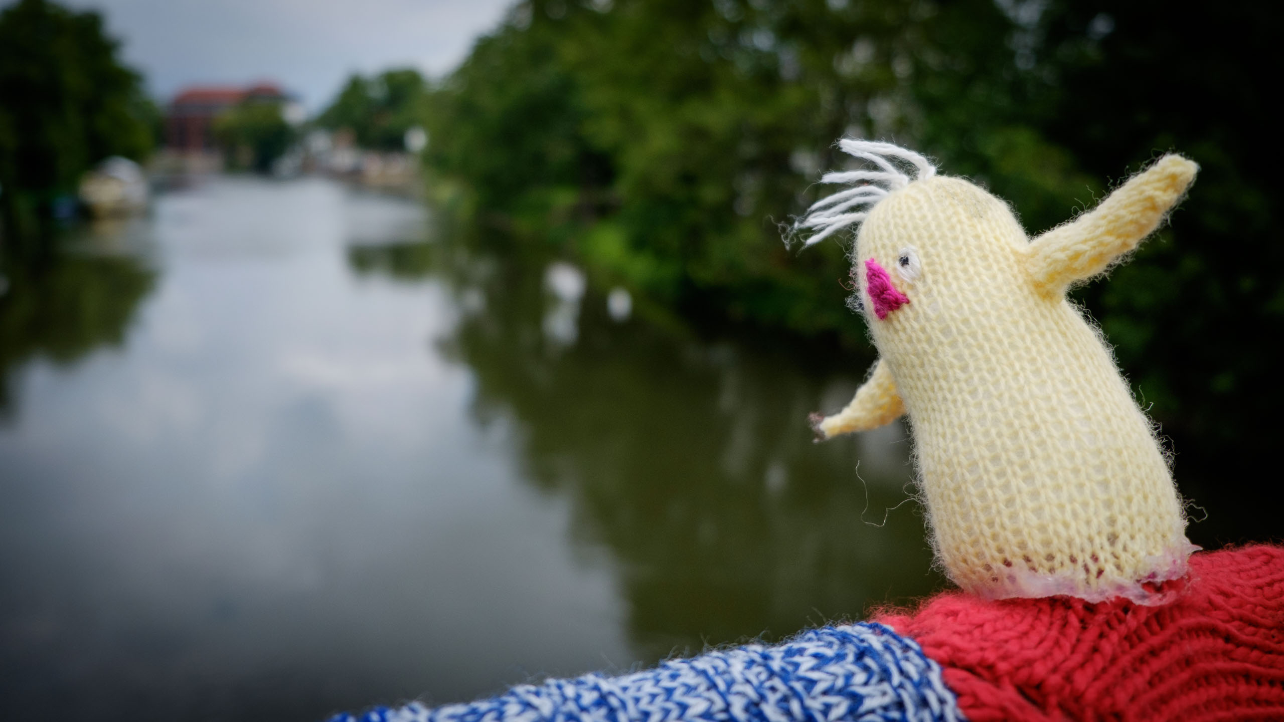 Donnerstag, 18.06.2015