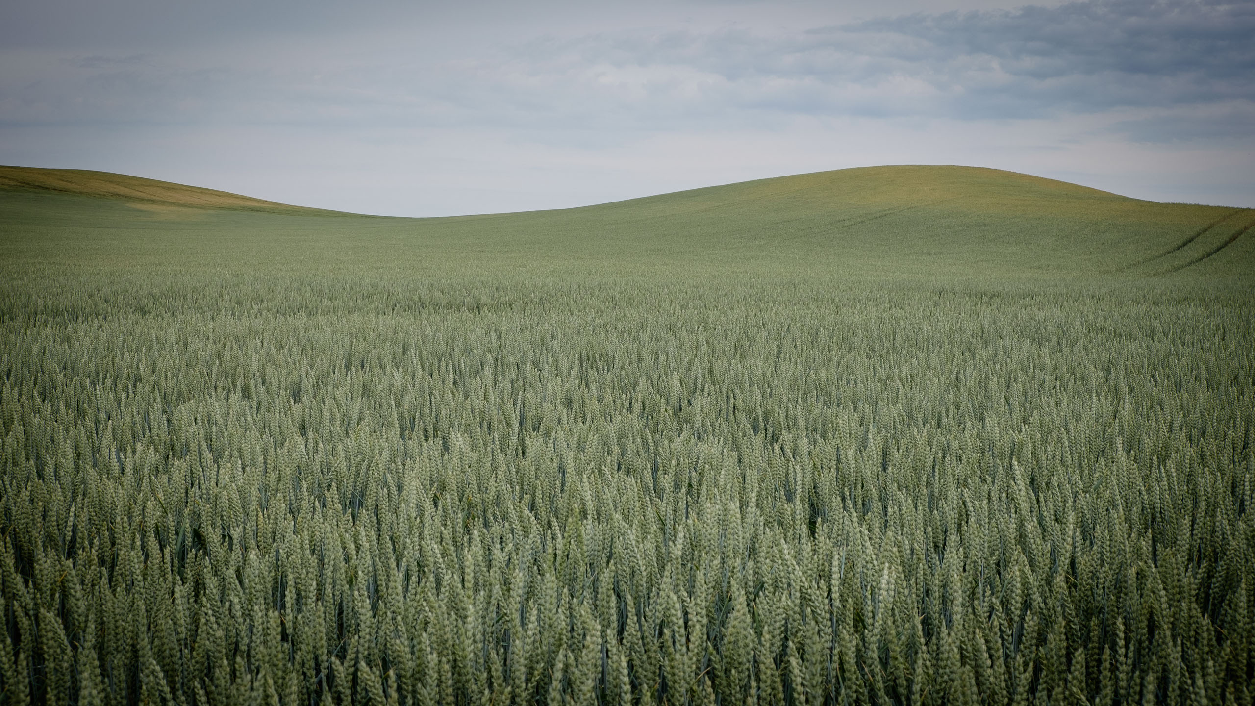 Donnerstag, 18.06.2015